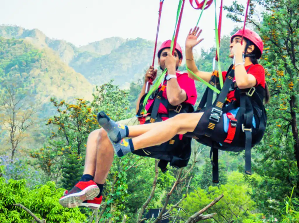 Rishikesh Gaint swing